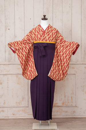 KR-041/矢絣赤　卒業袴　仙台　宮城