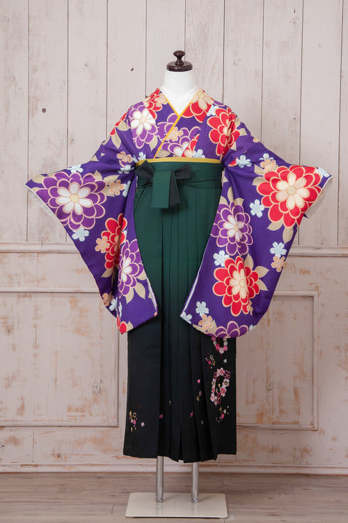 KR-072/紫大輪　卒業袴　仙台　宮城