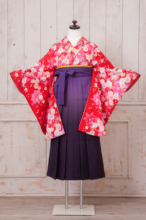 KR-073/赤桜　卒業袴　仙台　宮城