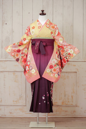 KR-111/クリーム地御所車　卒業袴　仙台　宮城