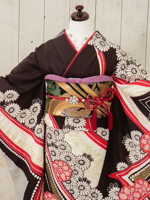 FR-016　茶色地赤しぼり　振袖