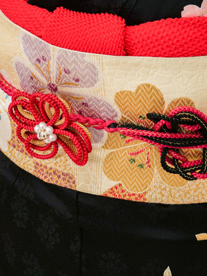 FR-028　黒地花籠　振袖