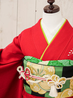 FR-047   赤地枝桜　振袖