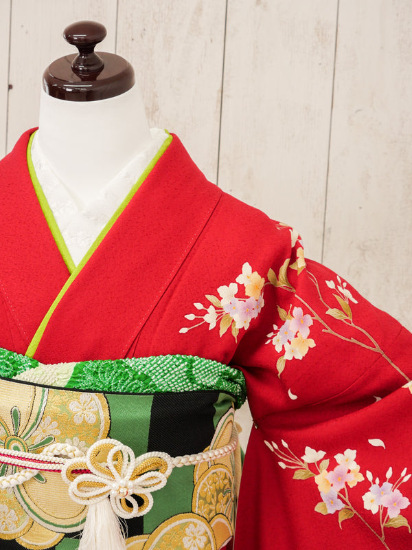 FR-047   赤地枝桜　振袖