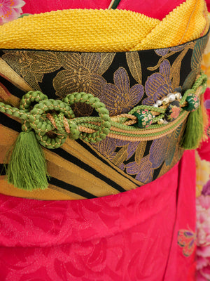 FR-057　ビビッドピンク蝶　振袖