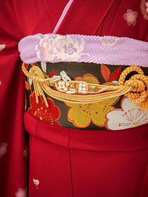 FR-082　赤地古典　振袖