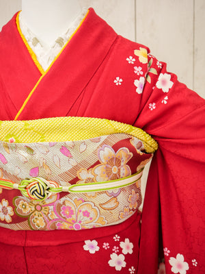 FK-019　赤地紫菊　振袖.