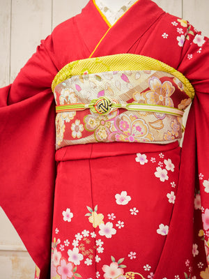 FK-019　赤地紫菊　振袖.