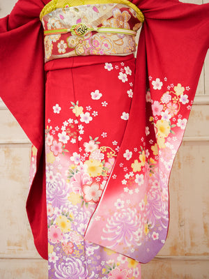 FK-019　赤地紫菊　振袖.