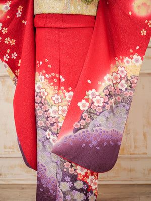 FK-031　赤地紫桜　振袖.