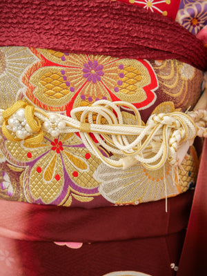 FI-031　華咲く紅梅の舞　振袖