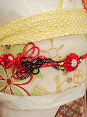 FI-065　花鳥風月の雅　振袖