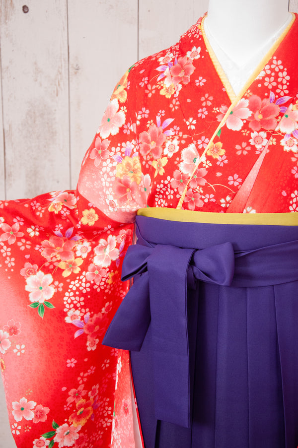 KR-070/赤小桜　卒業袴
