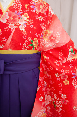 KR-070/赤小桜　卒業袴