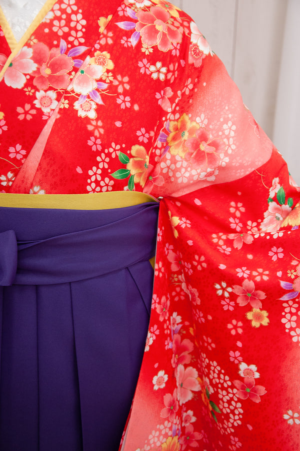 KR-070/赤小桜　卒業袴