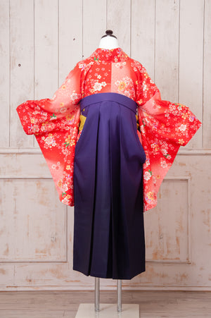 KR-070/赤小桜　卒業袴