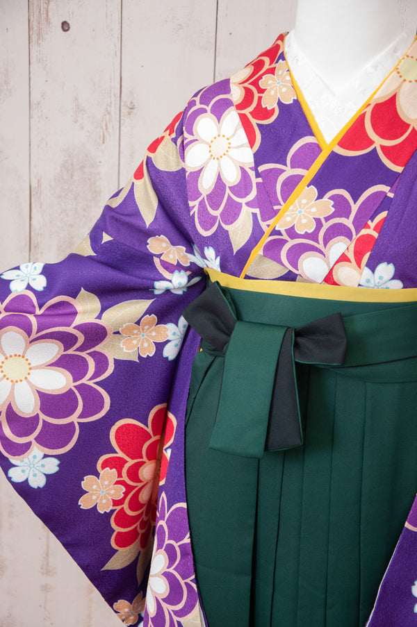 KR-072/紫大輪　卒業袴