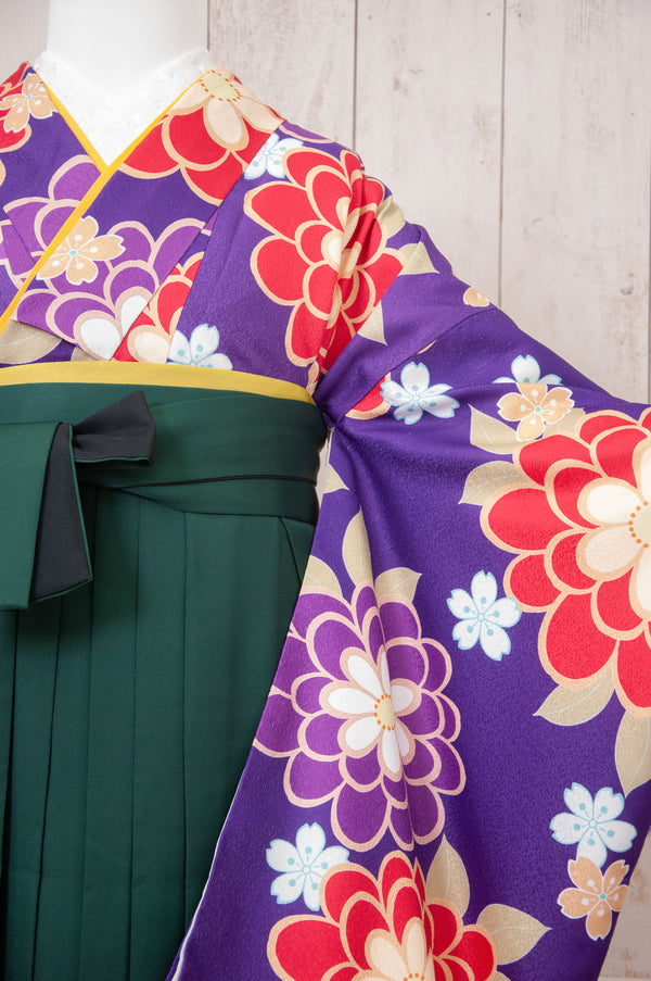 KR-072/紫大輪　卒業袴