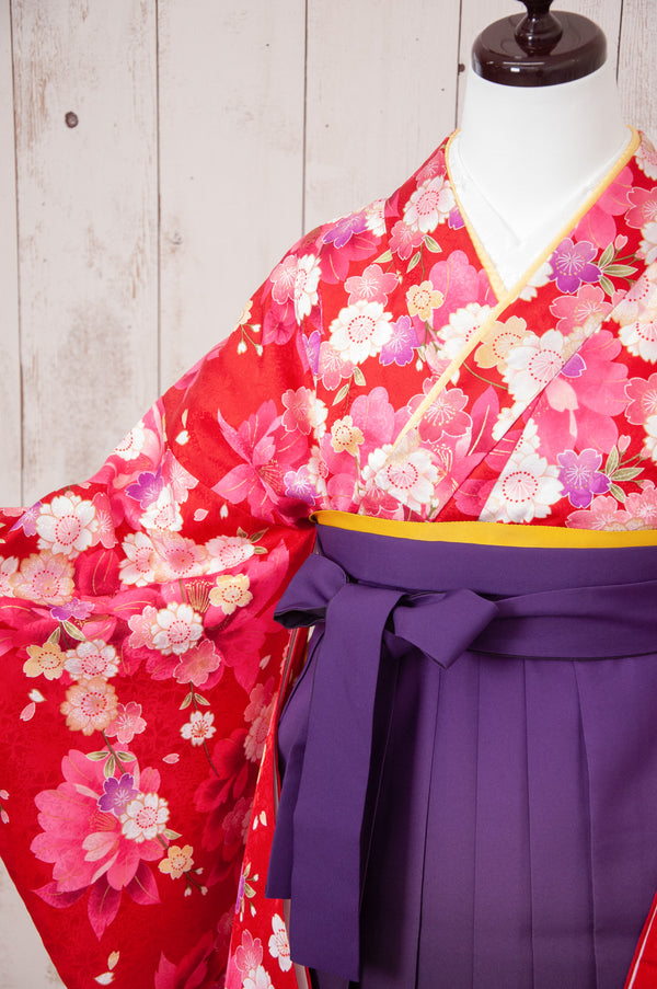 KR-073/赤桜　卒業袴