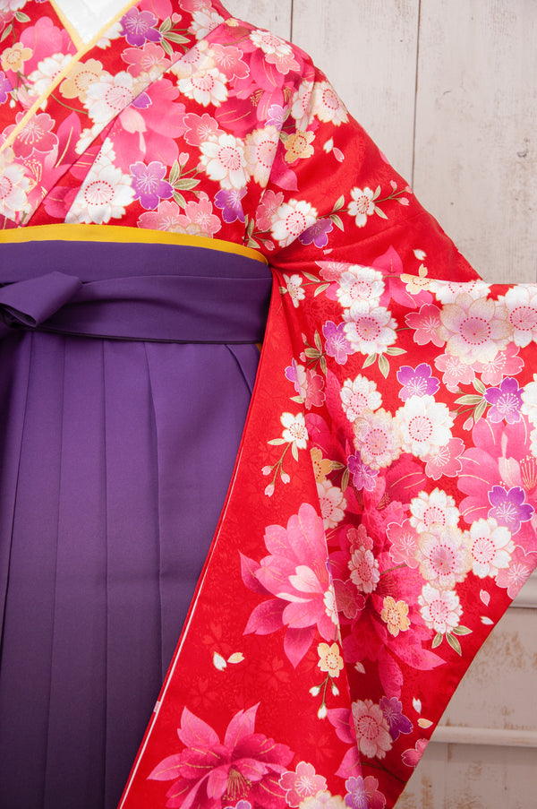 KR-073/赤桜　卒業袴