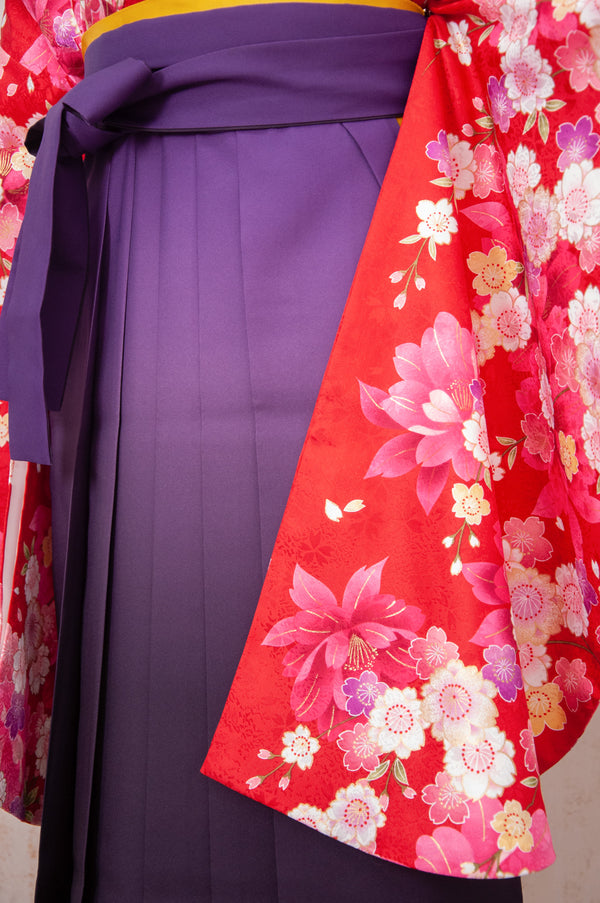 KR-073/赤桜　卒業袴