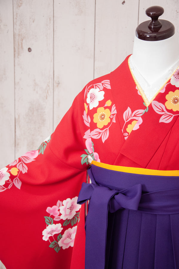 KR-076/赤地に花輪　卒業袴