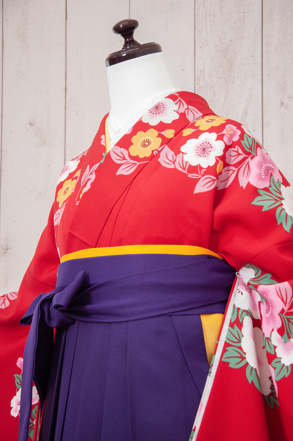 KR-076/赤地に花輪　卒業袴