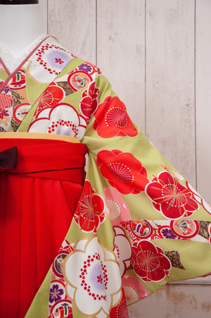 KR-087/若草梅のし　卒業袴