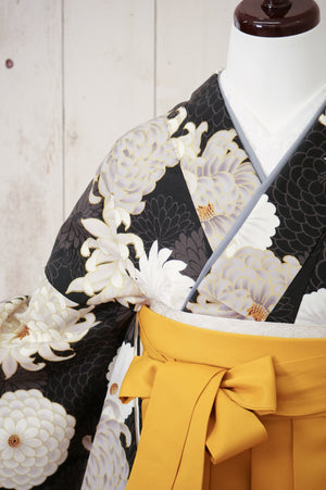 KR-008/黒金菊　卒業袴