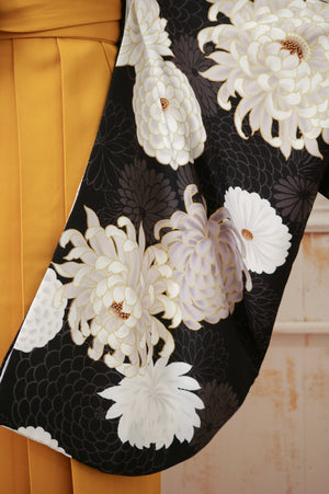 KR-008/黒金菊　卒業袴