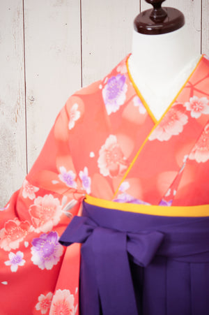 KR-055/ピンク地紫桜　卒業袴