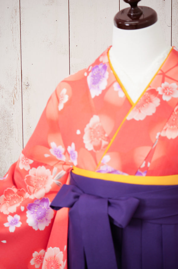 KR-055/ピンク地紫桜　卒業袴