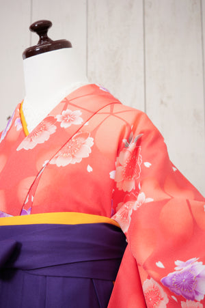 KR-055/ピンク地紫桜　卒業袴