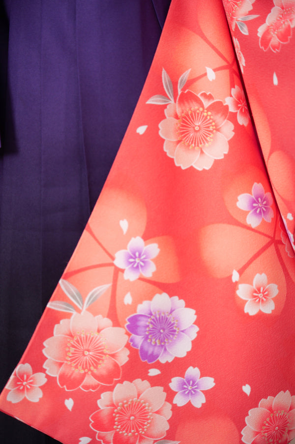 KR-055/ピンク地紫桜　卒業袴