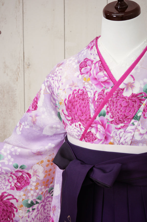 KR-123/薄紫菊　卒業袴