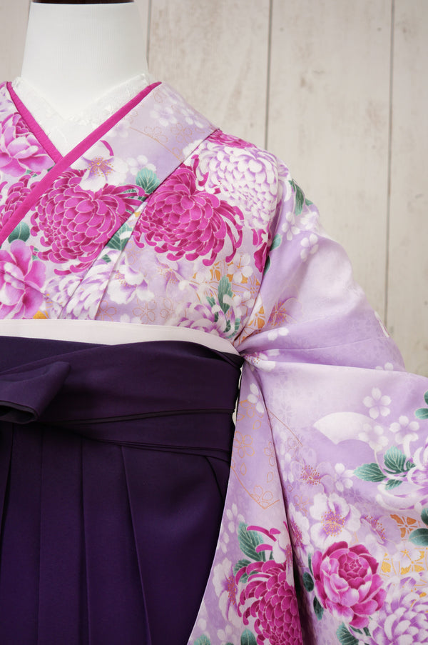 KR-123/薄紫菊　卒業袴