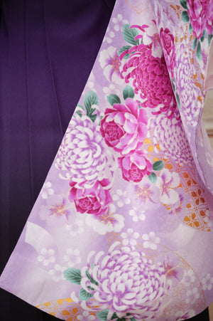 KR-123/薄紫菊　卒業袴