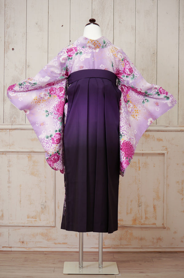 KR-123/薄紫菊　卒業袴